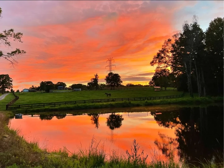 Orange and pink sunset reflected in the pond beside fenced pastures